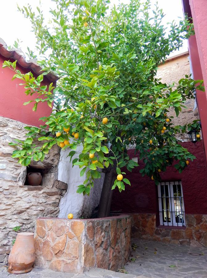 Casa Rural La Perra Gorda Zorita  ภายนอก รูปภาพ